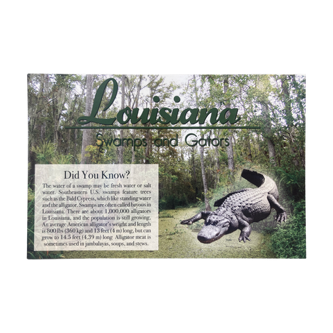 Assorted Alligator Postcards