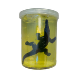 Alligator Slime Jar - Assorted Color Gel Jars