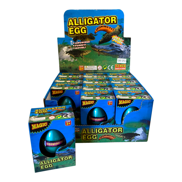 Alligator Breaking out of Egg