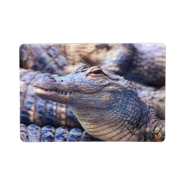 Lenticular 3D Alligator Magnet