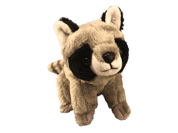 gray raccoon plush toy