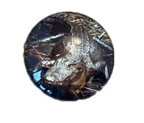 Cool Magnidome Crocodile Magnet