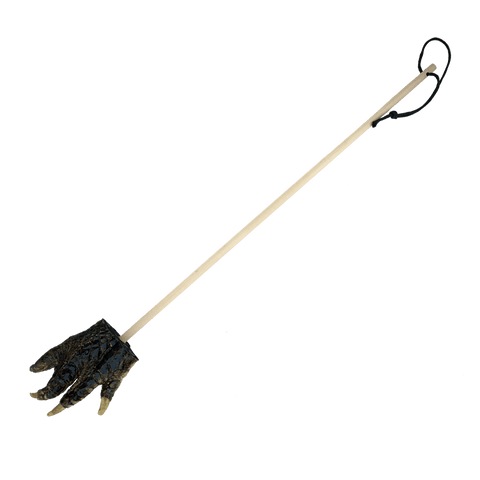 Alligator Foot Backscratcher