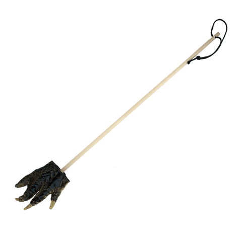 Alligator foot keychain deals