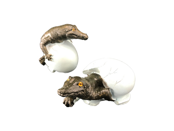Set of 4 Gator Hatching Figurines (2 styles)