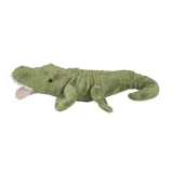 Curly Tailed Gator