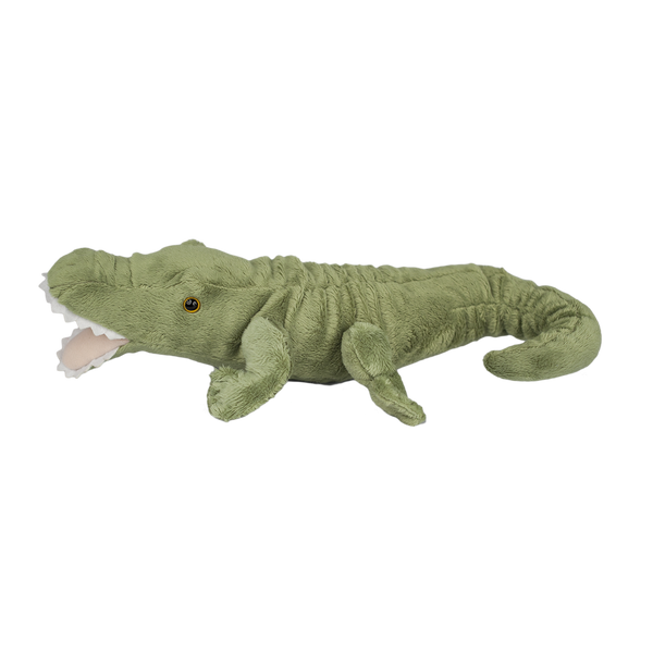 Curly Tailed Gator