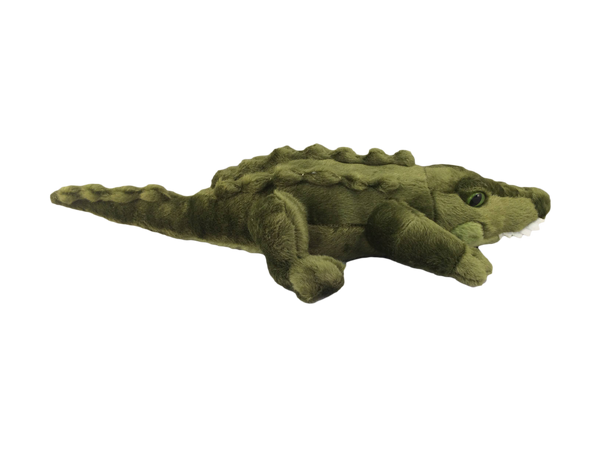 Velvety Dark Green Alligator