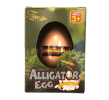 Alligator Breaking out of Egg