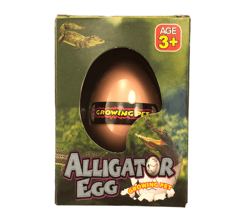 Alligator Breaking out of Egg