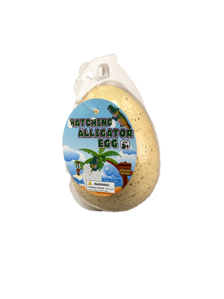 Jumbo Hatching Alligator Egg